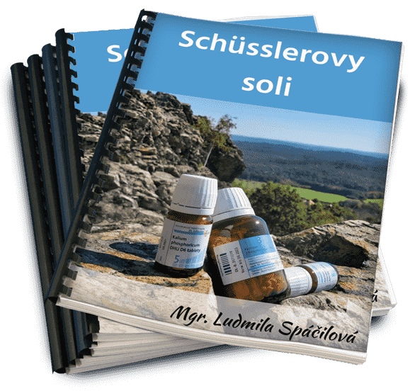 Schüsslerovy soli, Vizuální diagnostika a Soli podle onemocnění